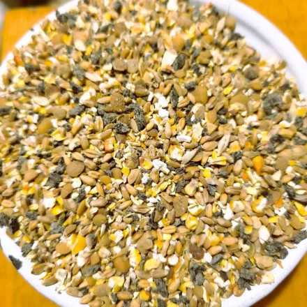 Zsombói GMO mentes gabonatáp /kg