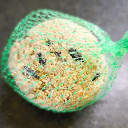 Cinkegolyó Téli madáreledel 