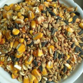 Tyúkcsemege magkeverék