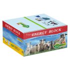 ENERGY BLOCK nyalósó 5kg