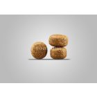 Josera BALANCE 12,5kg