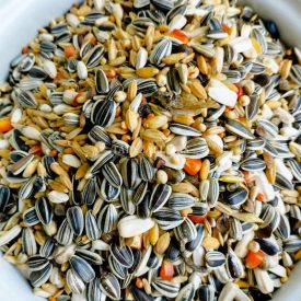 ÍRISZ Amazon eledel 1kg