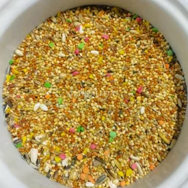ÍRISZ Pinty eledel 1kg