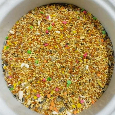 ÍRISZ Pinty eledel 1kg